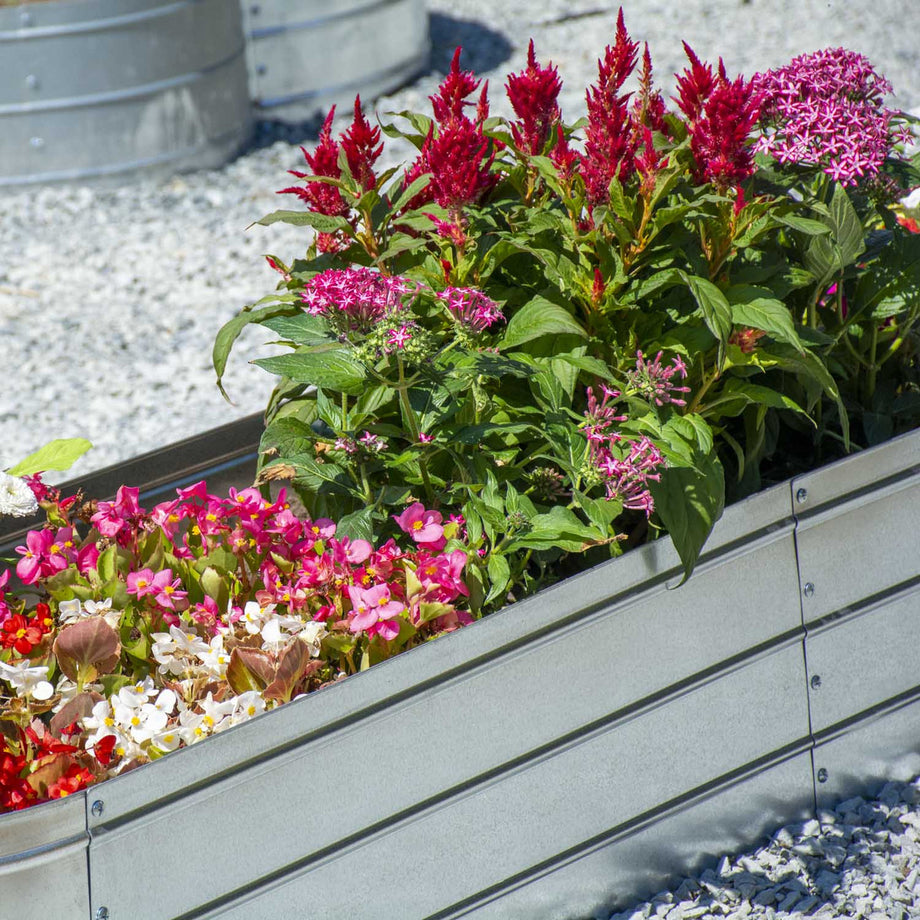 Planter - Grapevine Galvanized Steel Oval Raised Garden Bed PL10156 6A   Hansler Smith