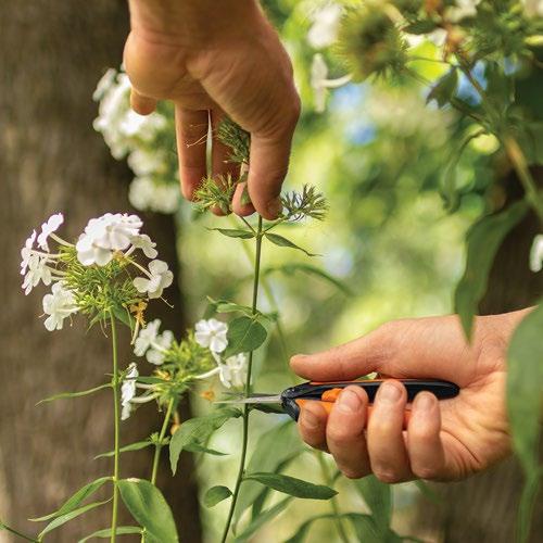 Fiskars Pruning Tool